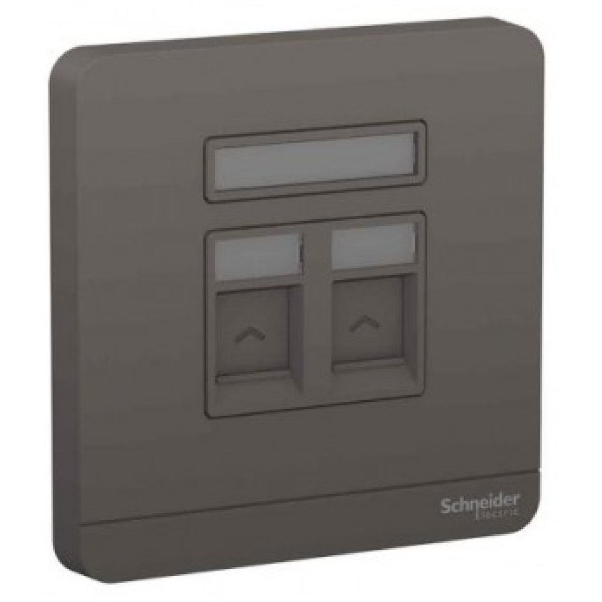 Schneider Electric 施耐德電氣 AvatarOn 兩位RJ45八線5e類數據插座,Keystone面板備防塵活門 (深灰色) (E8332RJS5_DG_C5) Schneider Electric 施耐德電氣 AvatarOn 兩位RJ45八線5e類數據插座,Keystone面板備防塵活門 (深灰色) (E8332RJS5_DG_C5)